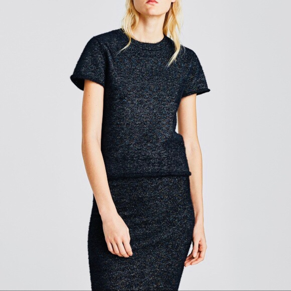 SET - ZARA Knit Shimmery Skirt & Tank in Small